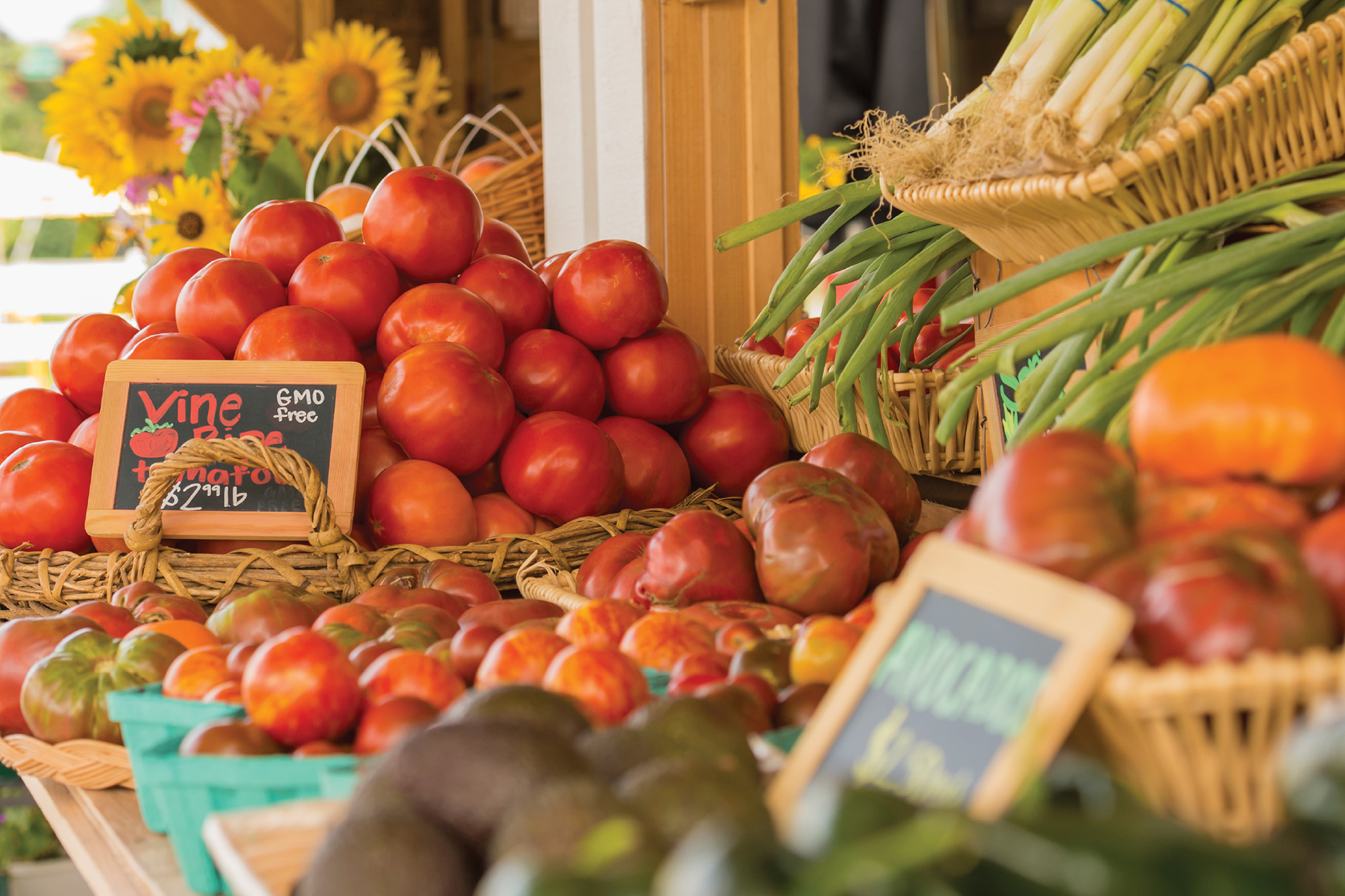 Exploring Ann Arbor Area Farmers’ Markets